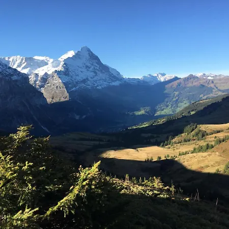 Im Chehr By Interhome