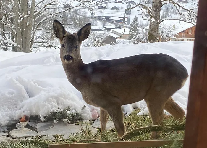 Im Chehr By Interhome *